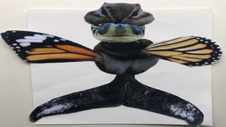 ANIMALS SURREALISTES.pptx