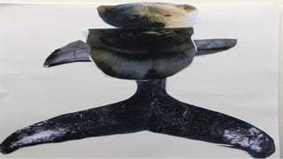 ANIMALS SURREALISTES.pptx