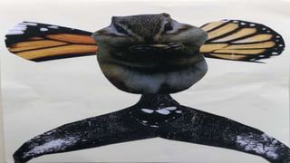 ANIMALS SURREALISTES.pptx