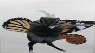 ANIMALS SURREALISTES.pptx