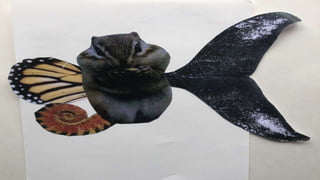 ANIMALS SURREALISTES.pptx