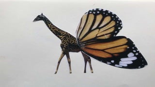 ANIMALS SURREALISTES.pptx