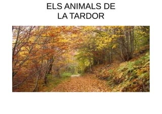 ELS ANIMALS DE
LA TARDOR

 