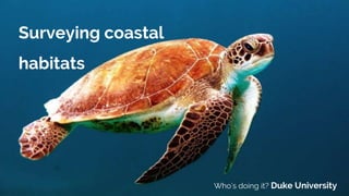 Surveying coastal
habitats
Who’s doing it? Duke University
 