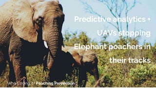 Predictive analytics +
UAVs stopping
Elephant poachers in
their tracks
Who’s doing it? Poaching Prevention
 