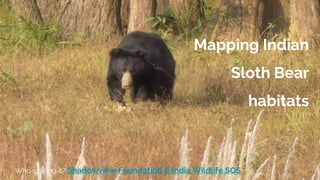 Mapping Indian
Sloth Bear
habitats
Who’s doing it? Shadowview Foundation & India Wildlife SOS
 