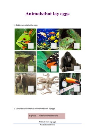 Animals That Lay Eggs