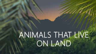 ANIMALS THAT LIVE
ON LAND
 