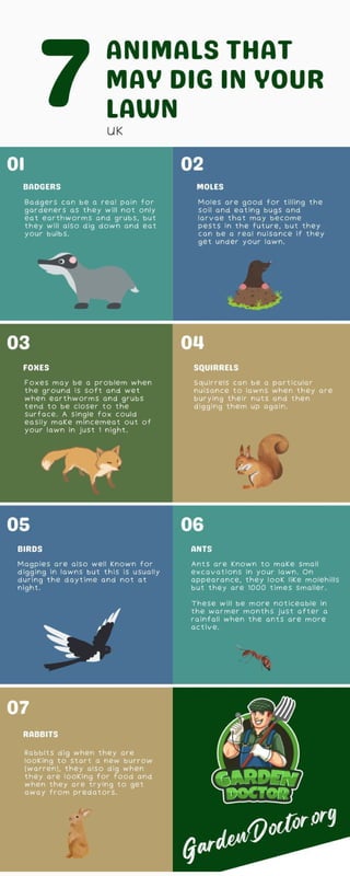 Animals that May Dig in Your Lawn.pdf