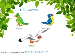 FOR EXAMPLE:
A PARROT A SPARROW
A SEAGULL
CAN YOU GIVE MORE EXAMPLES OF AERIAL ANIMALS?
 