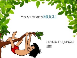 I LIVE IN THE JUNGLE
!!!!!!
YES, MY NAME IS MOGLI
 