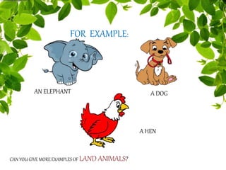 FOR EXAMPLE:
AN ELEPHANT A DOG
A HEN
CAN YOU GIVE MORE EXAMPLES OF LAND ANIMALS?
 