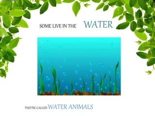 SOME LIVE IN THE WATER
THEY’RE CALLED WATER ANIMALS
 