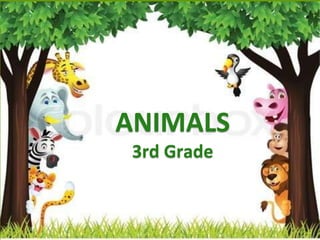 ANIMALS
3rd Grade

 
