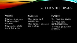 OTHER ARTHROPODS
Arachnids
They have eight legs.
They haven’t got
antennae.
They produce silk to
create their webs.
Crustaceans
They have a hard
exoskeleton.
They have got antennae
and ten legs.
Myriapods
They have long bodies.
They have many
identical segments.
They have got a pair of
antennae.
 