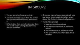 IN GROUPS:
• You are going to choose an animal.
• Any animal will do it. Just think the animal
that you would like to choose and choose
it.
• It has to be a REAL animal. A dinosaur does
not count; we are talking about animals
that live nowadays.
• Once you have chosen your animal, you
are going to complete the chart given
about the features this animal presents.
• Think if the animal:
• Is vertebrate or invertebrate
• Is a herbivore, carnivore or omnivore
animal.
• Is a viviparous or an oviparous animal.
• Has special features: where does it live,
etcétera.
 