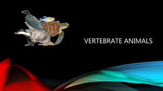VERTEBRATE ANIMALS
 