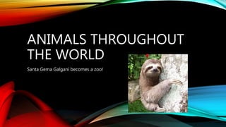 ANIMALS THROUGHOUT
THE WORLD
Santa Gema Galgani becomes a zoo!
 