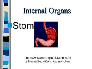 Internal Organs Stomach http://ww2.saturn.stpaul.k12.mn.us/kids/HumanBody/Krystlestomach.html 