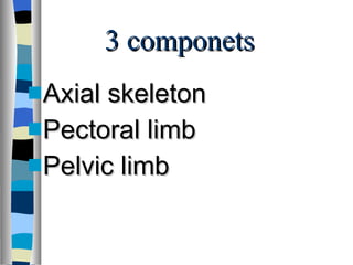 3 componets Axial skeleton  Pectoral limb Pelvic limb 