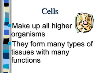 Cells Make up all higher organisms They form many types of tissues with many functions 