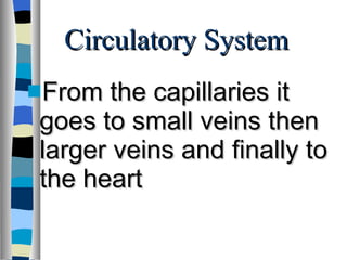 Circulatory System From the capillaries it goes to small veins then larger veins and finally to the heart 
