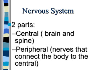 Nervous System 2 parts: Central ( brain and spine) Peripheral (nerves that connect the body to the central) 