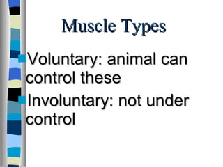 Muscle Types Voluntary: animal can control these Involuntary: not under control 