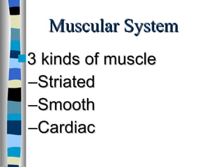 Muscular System 3 kinds of muscle Striated  Smooth Cardiac  