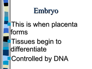 Embryo  This is when placenta forms Tissues begin to differentiate Controlled by DNA  