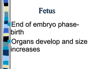 Fetus End of embryo phase-birth Organs develop and size increases 