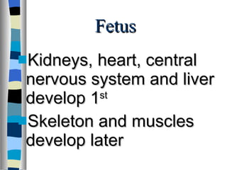 Fetus Kidneys, heart, central nervous system and liver develop 1 st Skeleton and muscles develop later 