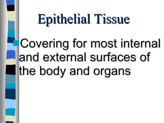 Epithelial Tissue Covering for most internal and external surfaces of the body and organs 