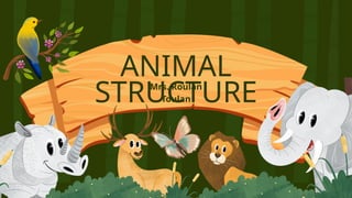 Animal Structure PowerPoint Presentation | PPTX