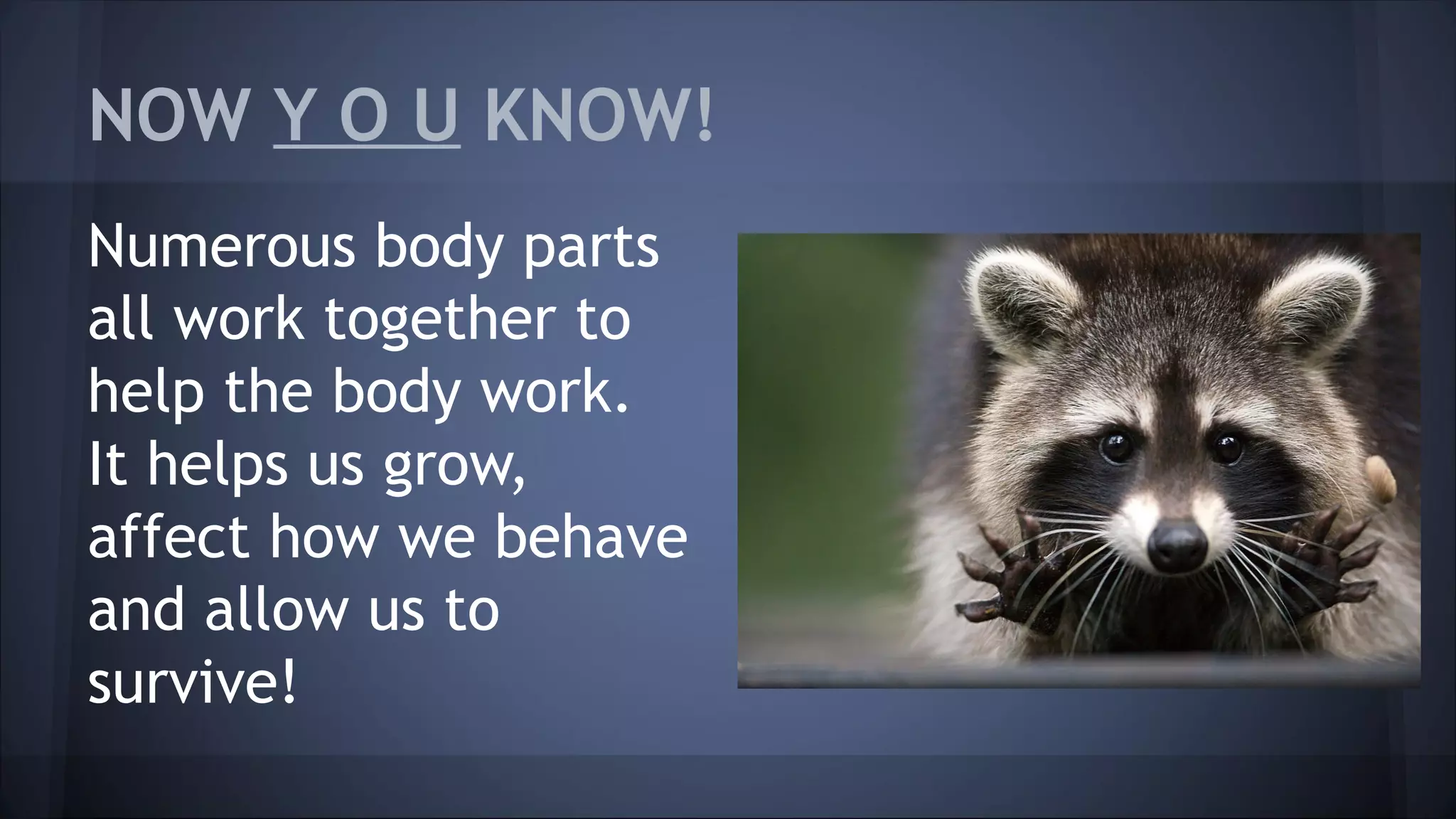 NOW Y O U KNOW!
Numerous body parts
all work together to
help the body work.
It helps us grow,
affect how we behave
and allow us to
survive!
 