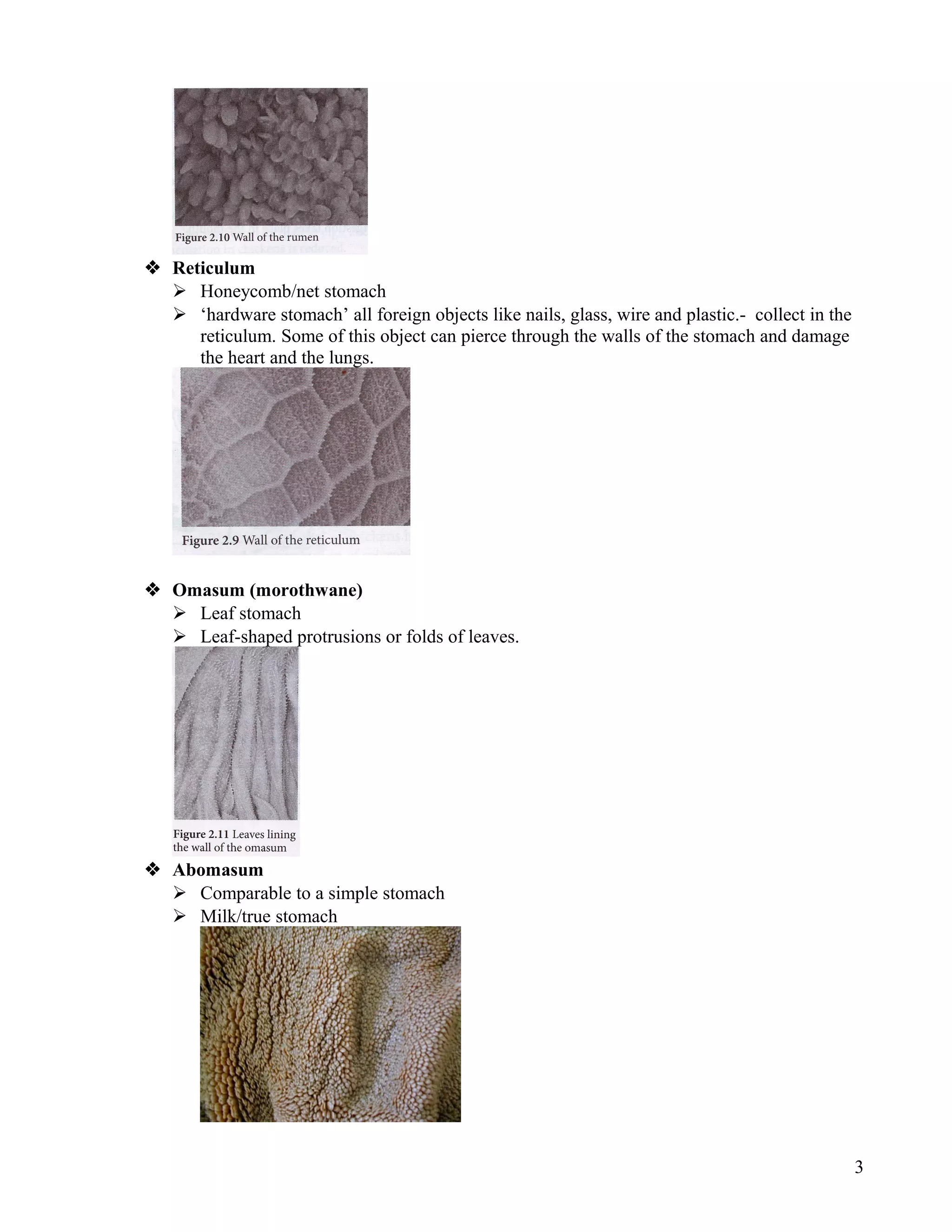 Grade 12 Agricultural Science Notes Animal nutrition | DOC
