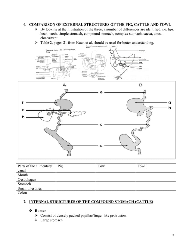 Grade 12 Agricultural Science Notes Animal nutrition PDF