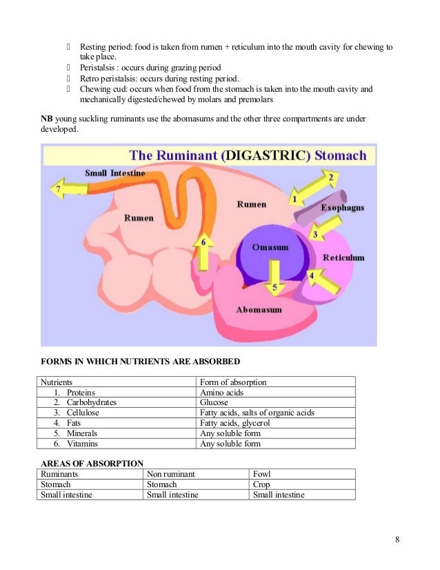 Grade 12 Agricultural Science Notes Animal nutrition