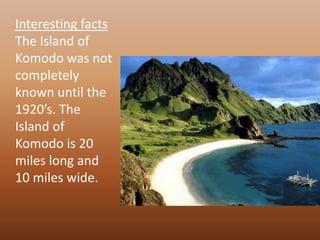 Interesting factsThe Island of Komodo was not completely known until the 1920’s. The Island of Komodo is 20 miles long and 10 miles wide.
