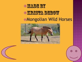 Made by Krista DeBow Mongolian Wild Horses 