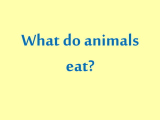 What do animals 
eat? 
 