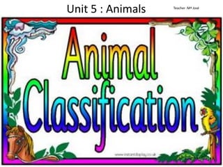 Unit 5 : Animals

Teacher :Mª José

 