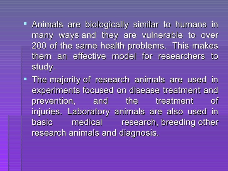 Animals Used For Medical Research
