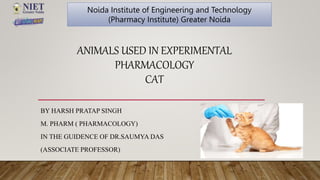 Noida Institute of Engineering and Technology
(Pharmacy Institute) Greater Noida
ANIMALS USED IN EXPERIMENTAL
PHARMACOLOGY
CAT
BY HARSH PRATAP SINGH
M. PHARM ( PHARMACOLOGY)
IN THE GUIDENCE OF DR.SAUMYA DAS
(ASSOCIATE PROFESSOR)
 