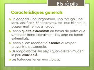 Els rèpils
 Característiques generals
 Un   cocodril, una sargantana, una tortuga, una
  serp, són rèptils. Són terrestres, tot i què hi ha que
  passen molt temps a l’aigua.
 Tenen quatre extremitats en forma de potes que
  surten del tronc lateralment. Les serps no tenen
  extremitats.
 Tenen el cos recobert d’escates dures per
  prevenir la dessecació.
 Els llangardaixos i les serps quan creixen muden
  la pell; exuviació.
 Les tortugues tenen una closca.
 