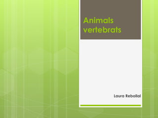 Animals
vertebrats




        Laura Rebollal
 
