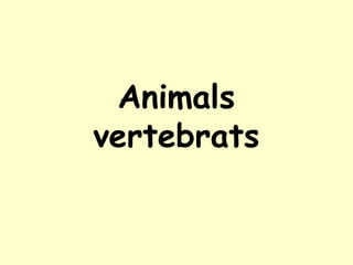 Animals
vertebrats
 