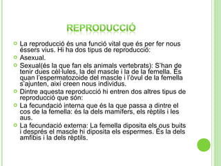 








La reproducció és una funció vital que és per fer nous
éssers vius. Hi ha dos tipus de reproducció:
Asexual.
Sexual(és la que fan els animals vertebrats): S’han de
tenir dues cèl·lules, la del mascle i la de la femella. És
quan l’espermatozoide del mascle i l’òvul de la femella
s’ajunten, així creen nous individus.
Dintre aquesta reproducció hi entren dos altres tipus de
reproducció que són:
La fecundació interna que és la que passa a dintre el
cos de la femella: és la dels mamífers, els rèptils i les
aus.
La fecundació externa: La femella diposita els ous buits
i després el mascle hi diposita els espermes. És la dels
amfibis i la dels rèptils.

 
