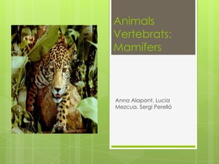 Animals
Vertebrats:
Mamífers

Anna Alapont, Lucia
Mezcua, Sergi Perelló

 