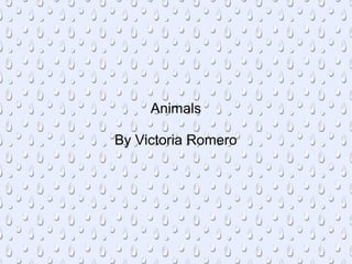Animals

By Victoria Romero
 